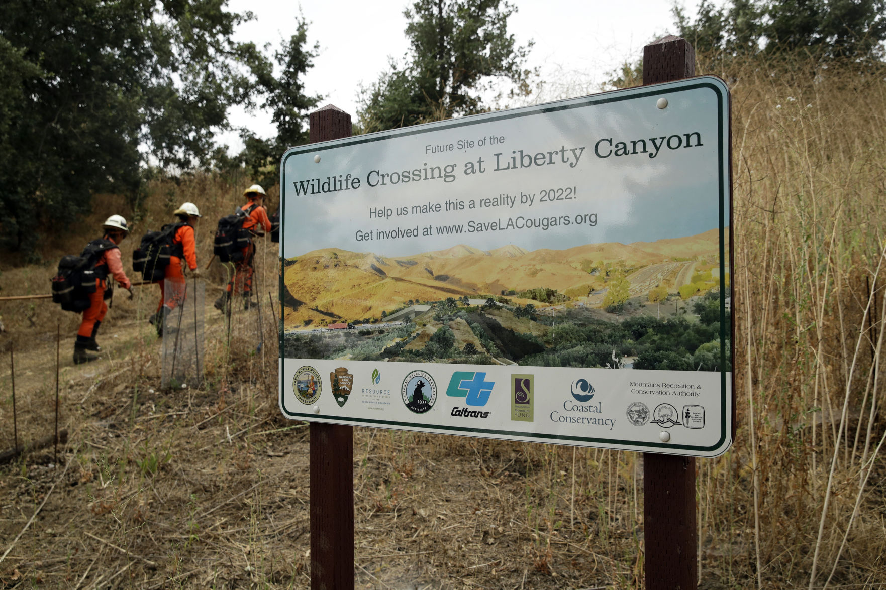 Wildlife Crossing Southern California